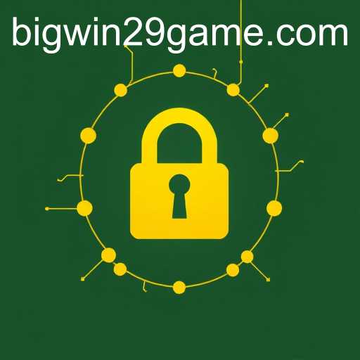 Understanding Privacy Policies and Their Impact: The Case of BIGWIN29